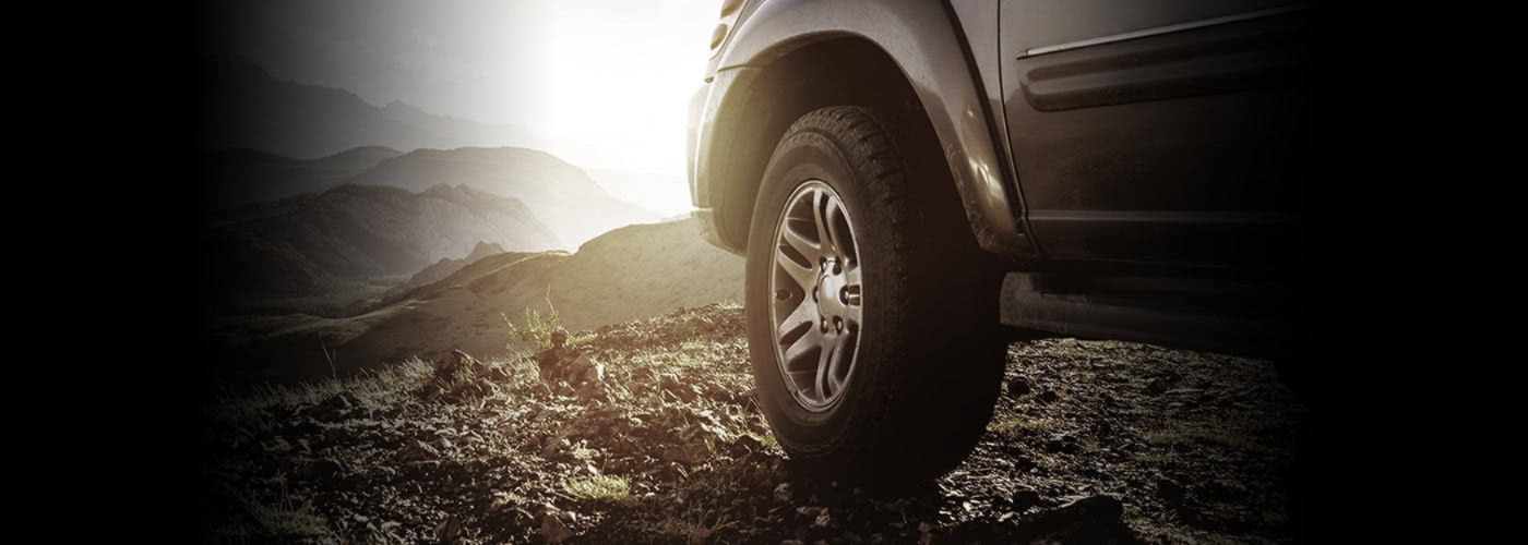 ԕی芷Ȃ疳ςV~[V߁I